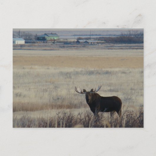 M3ブルムースオン農地 ポストカード (正面)