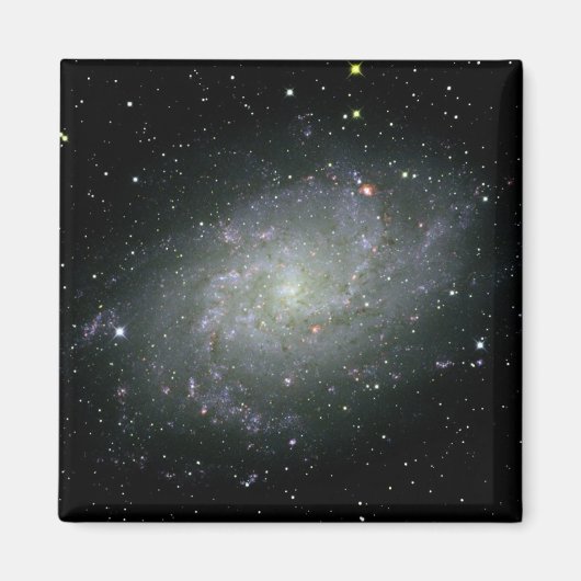 M33銀河系磁石 マグネット (正面)