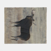 M4ブルムース フリースブランケット (正面(横))