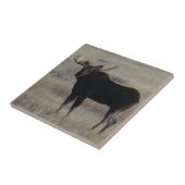 M4 バルムース タイル (側面)