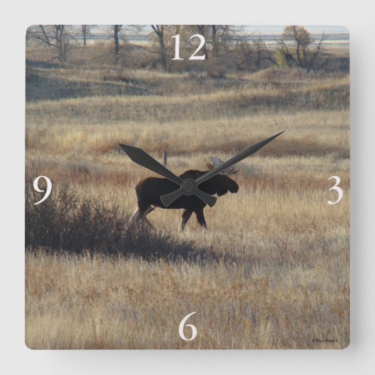 M5ブルムースアンドサンドヒルズ スクエア壁時計 (正面)