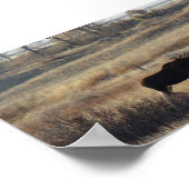 M5ブルムースインザサンドヒルズ ポスター (角)