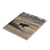 M5 ブルームースとサンドヒルズ タイル (側面)