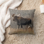 M8ブルムース クッション (ブランケット)