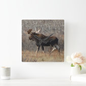 M8ブルムース スクエア壁時計 (ホーム)