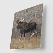 M8ブルムース スクエア壁時計 (傾斜)