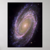 M81銀河系 ポスター (正面)