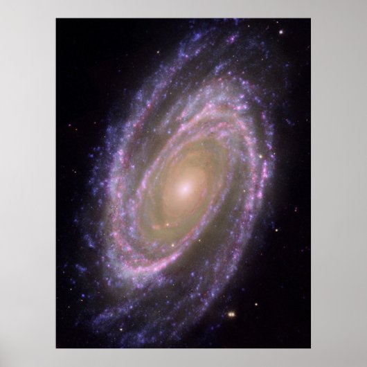 M81銀河系 ポスター (正面)