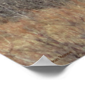 M8 スクラブブラシの中の巨大なムース ポスター (角)