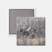 M9ブルムースレイイング マグネット (正面/裏面)