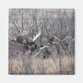 M9ブルムースレイイング マグネット