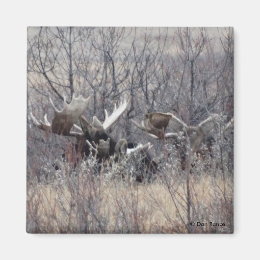 M9ブルムースレイイング マグネット (正面)