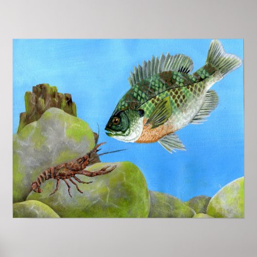 M.ピートの受賞作品11級 ポスター (正面)