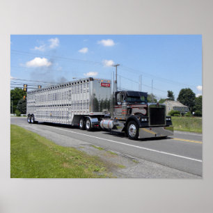 M. Brown Kenworth W900Bポスター ポスター