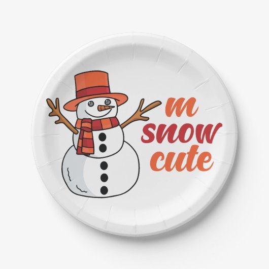 M SnowPaper Plate ペーパープレート (正面)