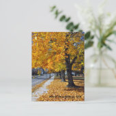 MAウェストブルックフィールド秋 ポストカード (スタンド正面)