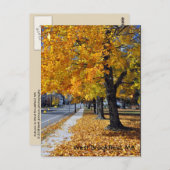 MAウェストブルックフィールド秋 ポストカード (正面/裏面)