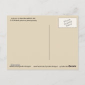 MAウェストブルックフィールド秋 ポストカード (裏面)