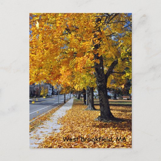 MAウェストブルックフィールド秋 ポストカード (正面)