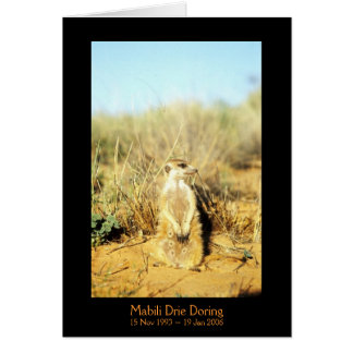 Mabili -伝説カード