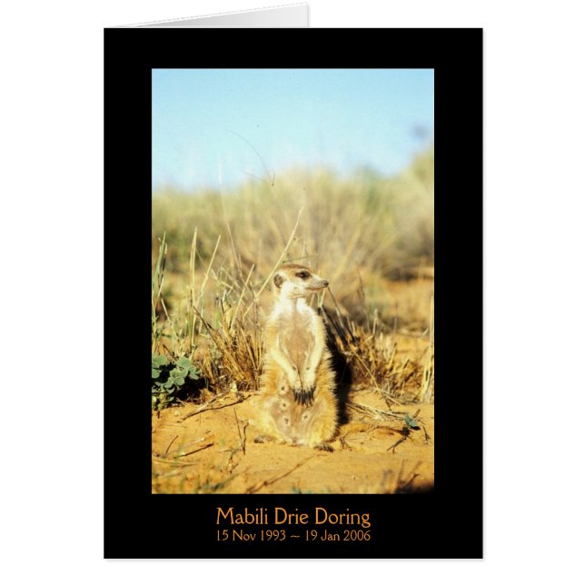 Mabili -伝説カード (正面)