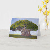 MacArthurのバンヤン-バンヤンの物語のカード カード (黄色い花)