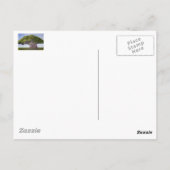 MacArthurのバンヤン ポストカード (裏面)