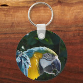 Macawキーチェーン キーホルダー (正面)