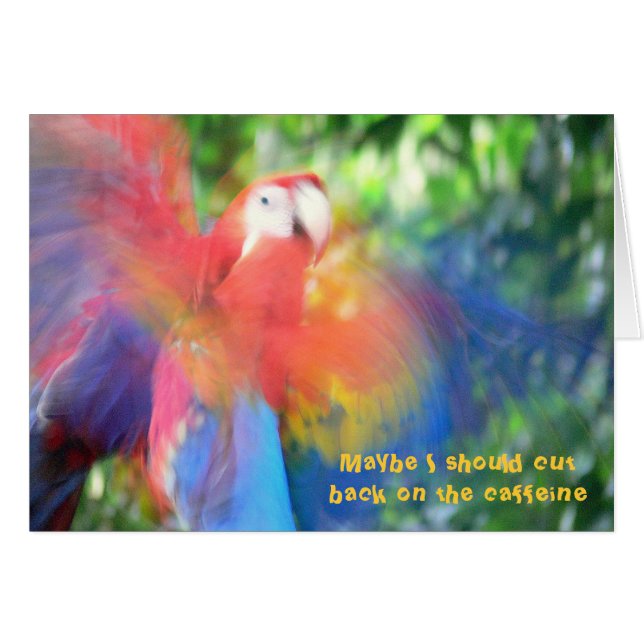 MACAW「カラフルカフェインが多すぎる」カーユーモアのあるド (正面横)