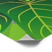 Macaw bird illustration ポスター (角)