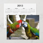 Macaw Parrots 2013カレンダーはがき ポストカード (正面/裏面)