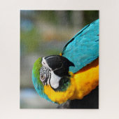 Macaw Print, Value Poster Paper (Matte) ジグソーパズル (縦)