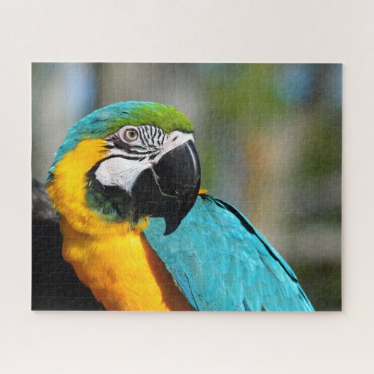 Macaw Print, Value Poster Paper (Matte) ジグソーパズル (横)