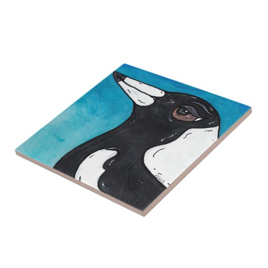 Maccaカササギ タイル (側面)