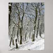 Macclesfield Forest Winter Card Canvas Print ポスター (正面)