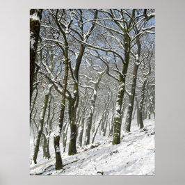 Macclesfield Forest Winter Card Canvas Print ポスター