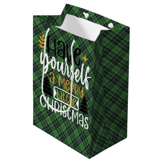 MacDonald Lord of the Isles Scottish Tartan Bag ミディアムペーパーバッグ (正面アングル)