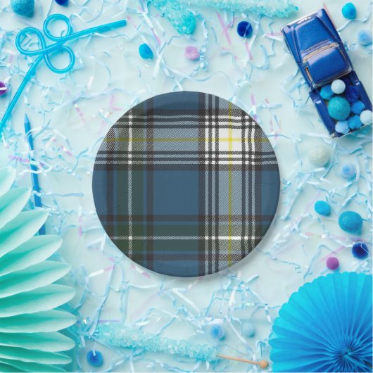 MacDowallのタータンチェックの紙のパーティーのプレート ペーパープレート (パーティー)