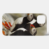 Machiasのニシツノメドリはを離れて島を密封します Case-Mate iPhoneケース (裏面 (横))