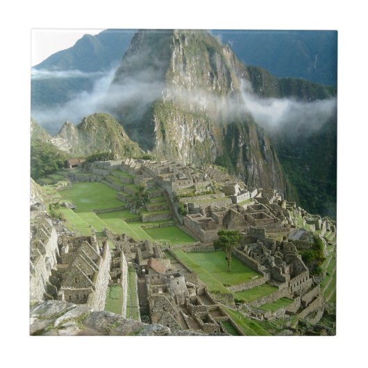machuのpicchu タイル (正面)
