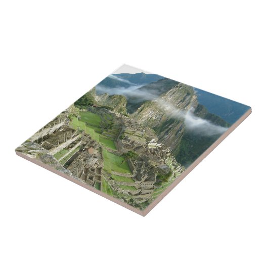 machuのpicchu タイル (側面)