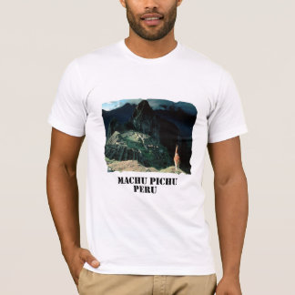 machuのpicchu tシャツ