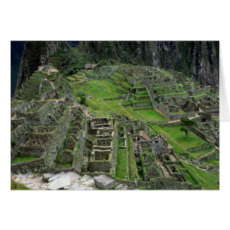 Machu Picchuの台なし