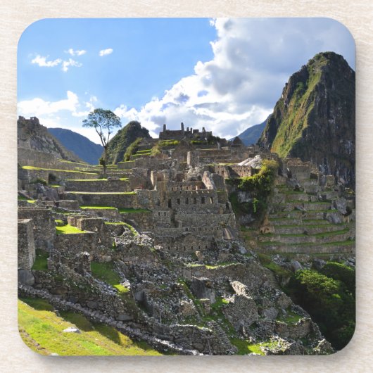 Machu Picchu、ペルー コースター (正面)