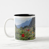 Machu Picchu、ペルー ツートーンマグカップ (左)