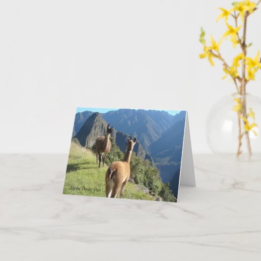 Machu Pichu Notecard カード (黄色い花)