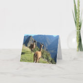 Machu Pichu Notecard カード (正面)