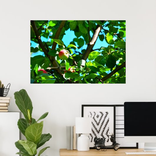 MacIntosh Apple On Tree Ile Doorns Poster ポスター (ホームオフィス)