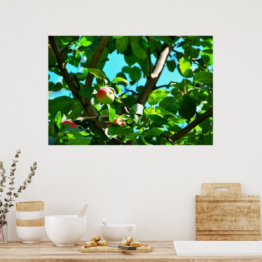 MacIntosh Apple On Tree Ile Doorns Poster ポスター (キッチン)