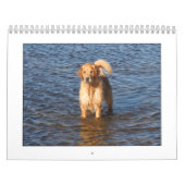 Mackのカレンダー2009年 カレンダー (カバー)